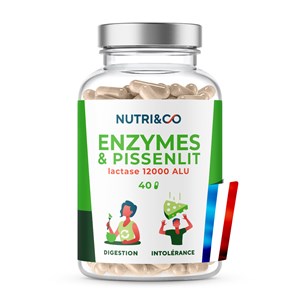 Enzymes & pissenlit - digestion 20 jours