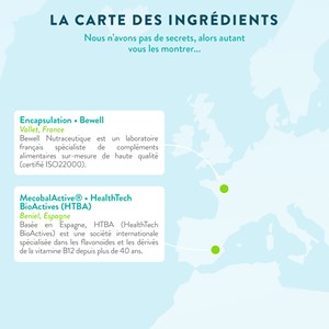 Vitamine b12 - energie - 4 mois
