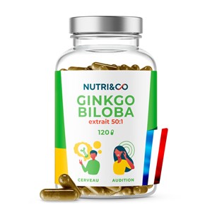 Ginkgo biloba - mémoire - 4 mois