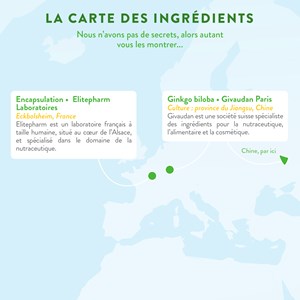 Ginkgo biloba - mémoire - 4 mois