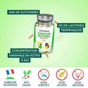 Ginkgo biloba - mémoire - 4 mois