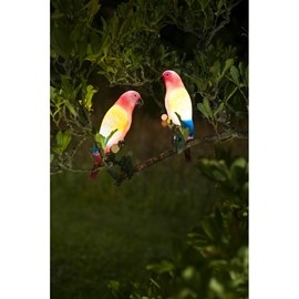 Décoration solaire - perroquet clipsable