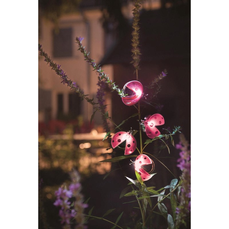 Décoration solaire -coccinelle clipsable
