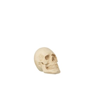 Crâne résine beige h.15cm