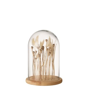 Cloche verre transparant - naturel h.25c