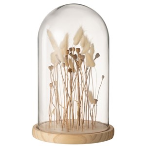 Cloche verre transparant - naturel h.37c