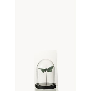 Cloche verre vert h.16cm