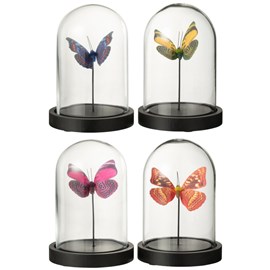 Set verre transparent h.16cm