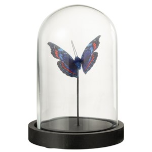 Set verre transparent h.16cm