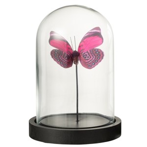 Set verre transparent h.16cm