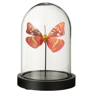 Set verre transparent h.16cm