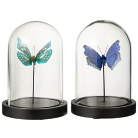Set verre transparent h.16cm