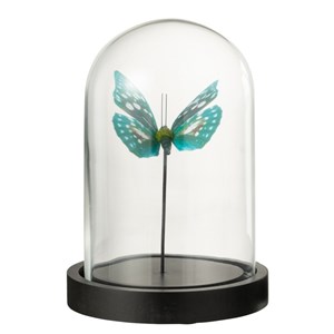 Set verre transparent h.16cm