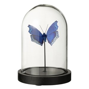 Set verre transparent h.16cm