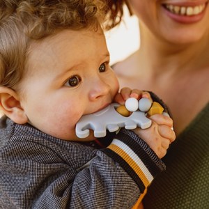 Hochet silicone eléphant