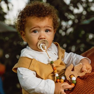 Attache tétine - renard