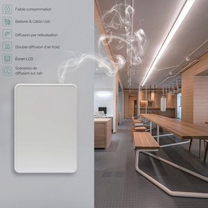 Diffuseur pro grande surface dp200