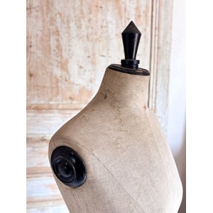 Albert, le mannequin de tailleur n°66