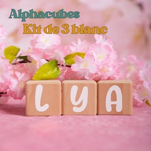 3 cubes 5x5cm + 47 stickers blancs