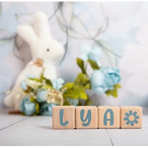 4 cubes 5x5cm + 55 stickers gris