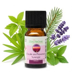Synergie he escale en provence