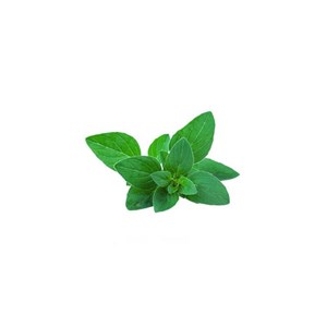 Menthe verte (mentha spicata) - huile essentielle bio - 5ml garantie chromacert®