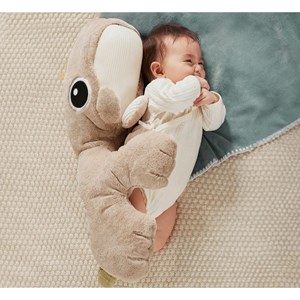 La baleine de schlafgut