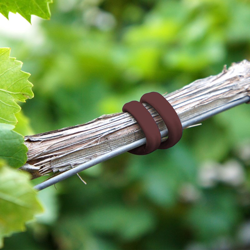 Lien creux 3 mm x 50 m - marron