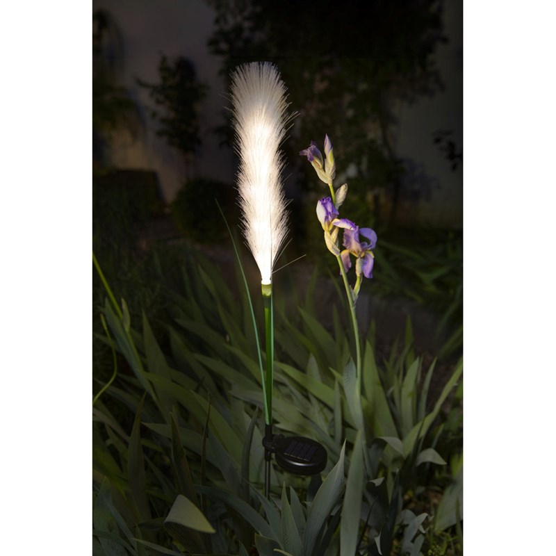 Décoration solaire : plumeau