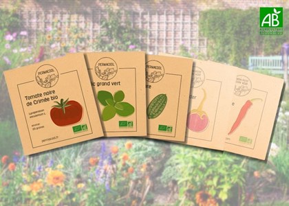 Lot de graines potagères- l'essentiel du jardinier à prix réduit