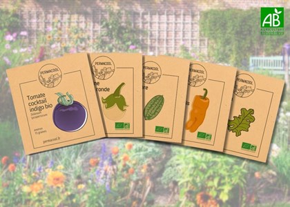 Lot de graines potagères- cuisine méditerranéenne à prix réduit