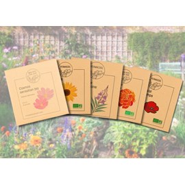 Lot de graines fleurs - mon jolie jardin à prix réduit