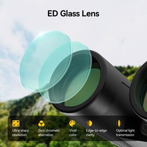 Jumelles 10x42 ed antibuee svbony