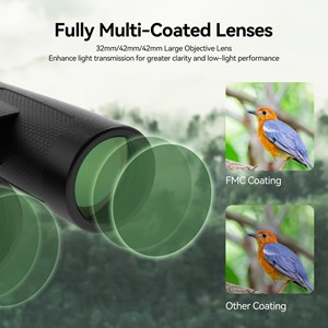 Jumelles 10x42 ed antibuee svbony