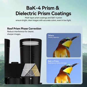 Jumelles 8x32 ed etanches svbony