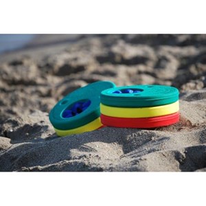 Lot de 6 disques de natation dauphins