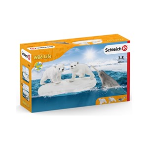 Wild life glissade en folie des ours pol