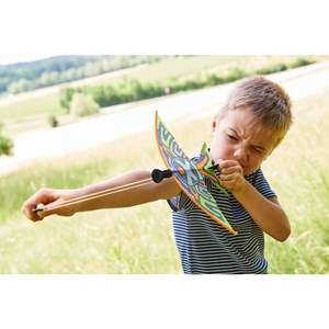 Fronde-oiseau terra kids