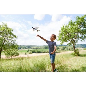 Fronde-oiseau terra kids