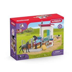 Horse club box à cheval avec jument et p