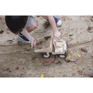 Camion benne - edition collector