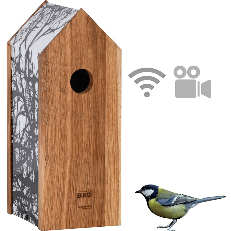 Nichoir à oiseaux avec caméra radio Salvin | Observer les oiseaux se  reproduire sur smartphone ou tablette | Caméra Wi-Fi avec son, vision  nocturne
