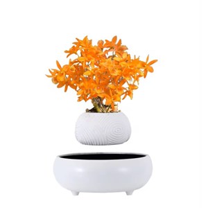 Mini-jardin en lévitation white dream