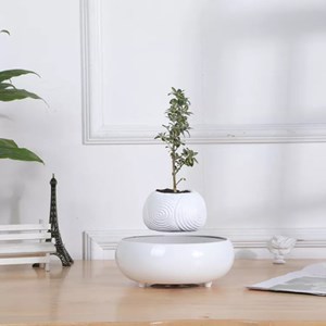 Mini-jardin en lévitation white dream