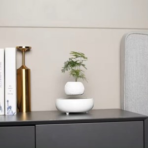 Mini-jardin en lévitation white dream