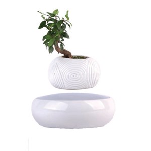 Mini-jardin en lévitation white dream