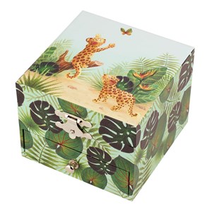 Coffret musical savane
