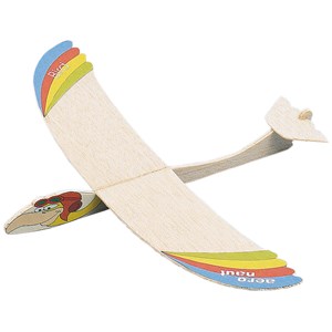 Planeur bird