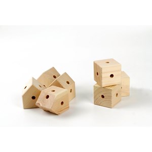 Trigonos family kreema