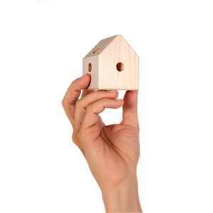 Trigonos kernel frukto